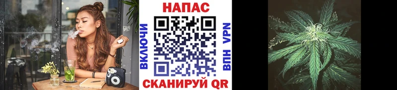 Шишки марихуана план  наркота  Омутнинск 